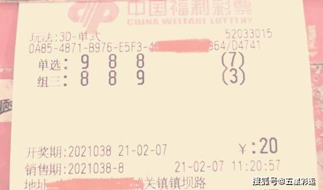 乐毅宽和篇，福彩3D走势的从容洞察